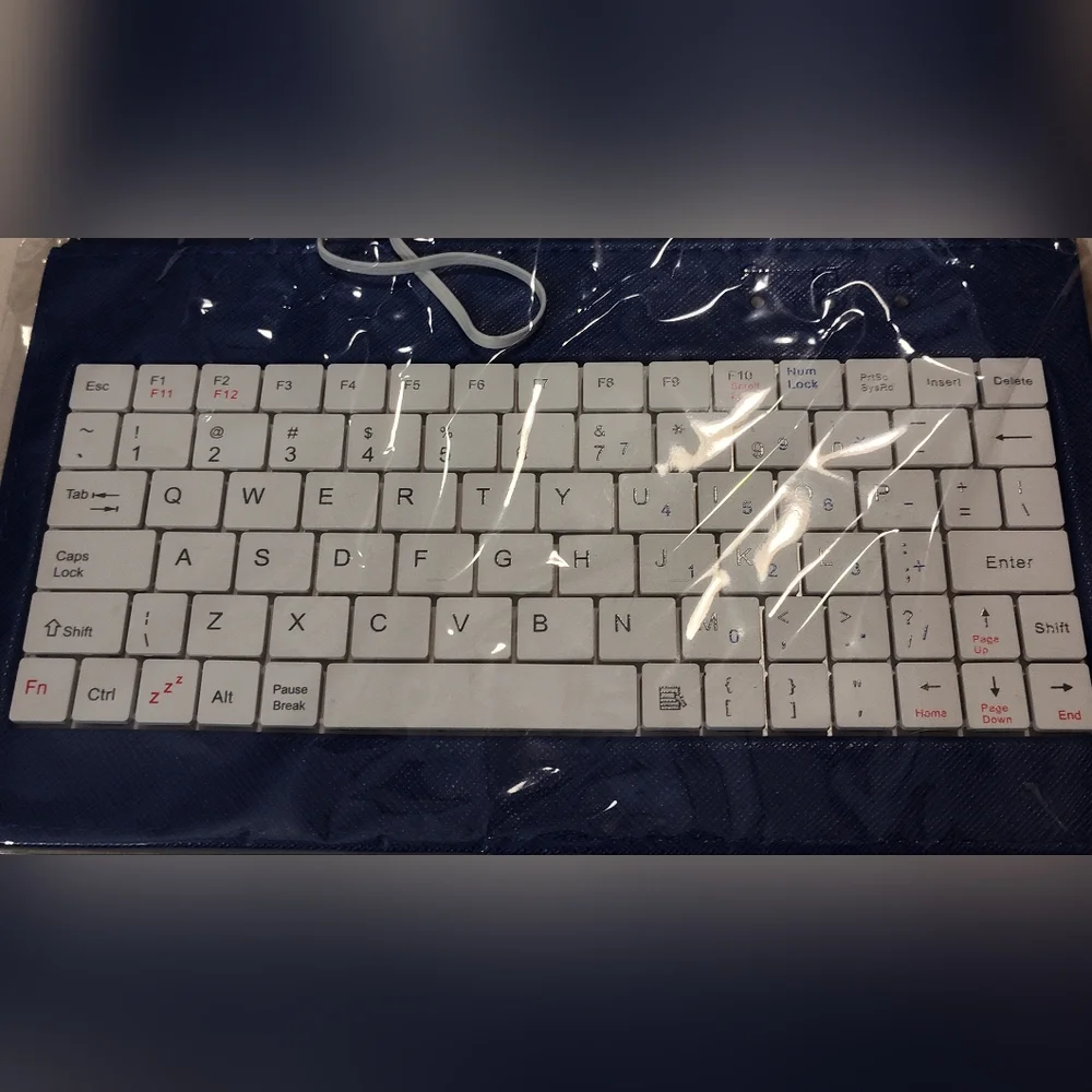 Blue and White Keyboard with Case